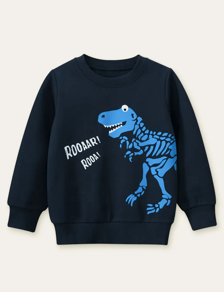 Dinosaur Fossil Color Printed Sweatshirt