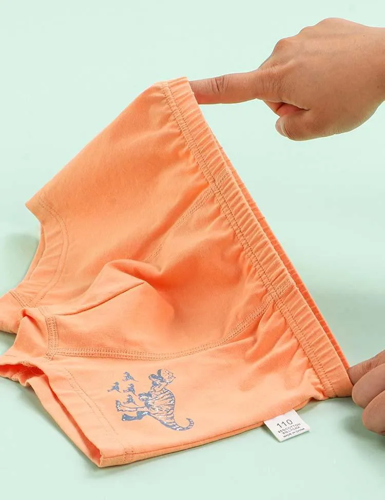 Dinosaur Print Boxer Shorts - Image 3