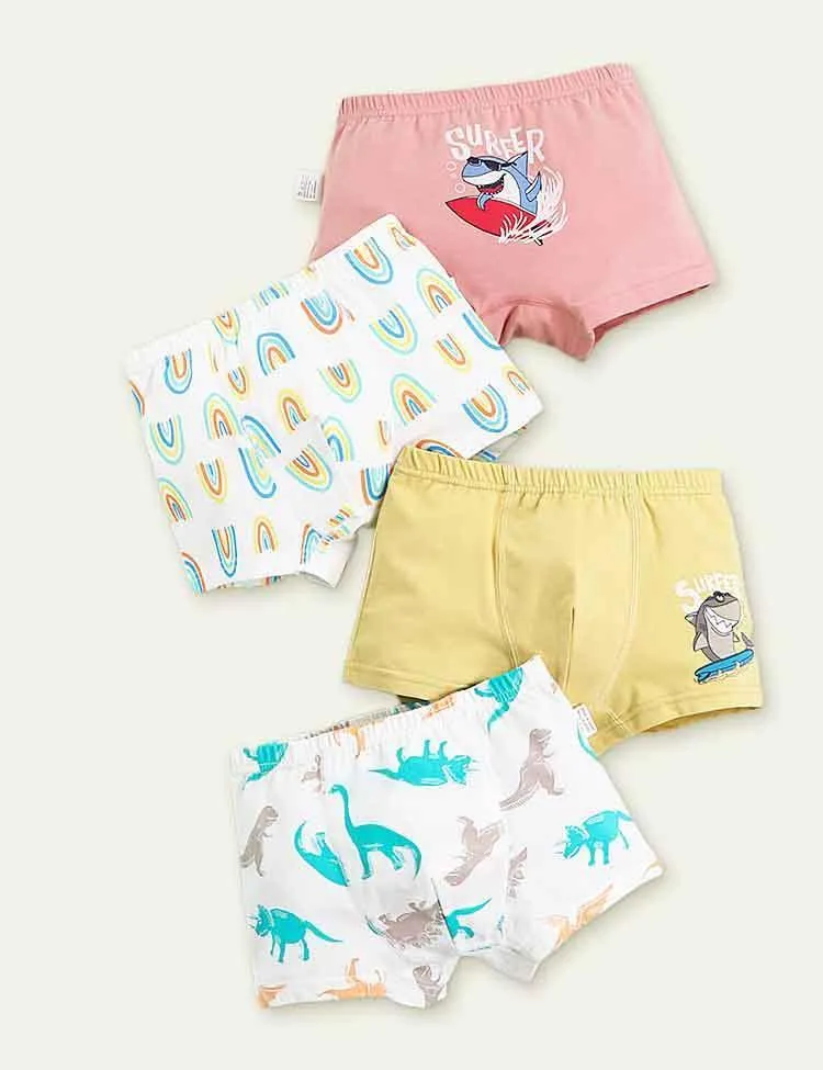 Dinosaur Print Boxer Shorts - Image 4