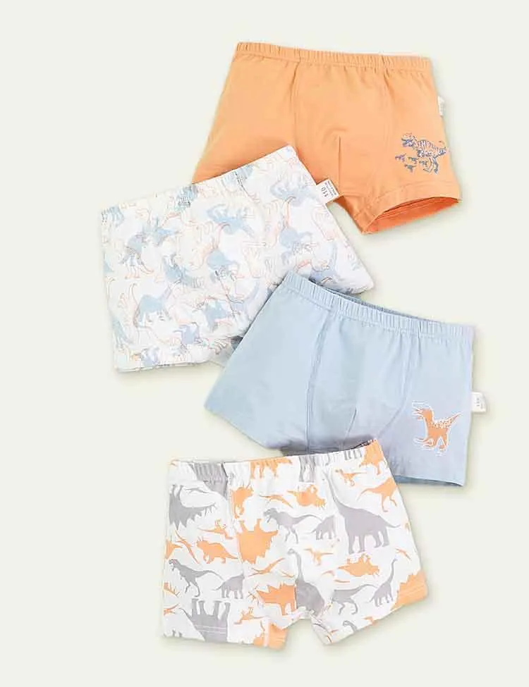Dinosaur Print Boxer Shorts - Image 5